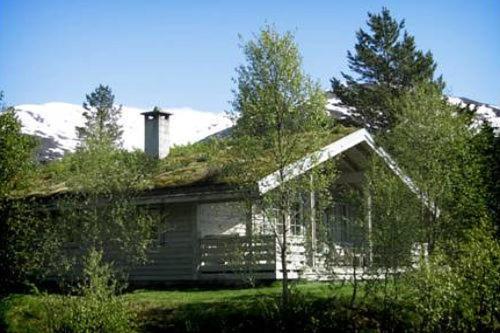 Jolsterlia Hyttetun Ardal  Exterior photo